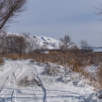 По белому снегу :: Игорь Сикорский