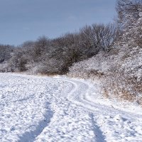 По белому снегу :: Игорь Сикорский