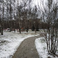 Зимы ждала, ждала Природа ... :: Андрей Лукьянов