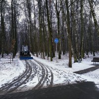 Брат, подожди! Дай ему выпасть! :: Андрей Лукьянов