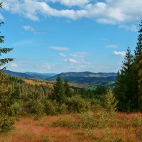 В  Карпатах. :: Юрий Гординский