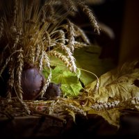 Мышонок и натюрморт с пшеницей... :: Олег Сидорин