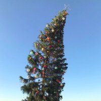 Новогодне-рождественская ёлочка в Сан-Диего на берегу Тихого океана :: Елена 