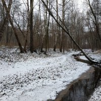 Учусь снимать почти нецветную часть зимы :: Андрей Лукьянов