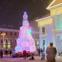 Новогодняя ёлка у городской Ратуши! :: Ирина Олехнович