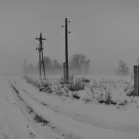 Зима пришла... :: Сергей Дружаев