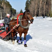 Новогодние катания... :: Юрий Моченов