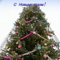 Весёлых новогодних праздников! :: Андрей Заломленков
