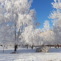 Пусть в январе всем снега хватает! :-) :: Андрей Заломленков