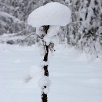После снегопада! :: Радмир Арсеньев