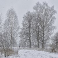а у нас снег... :: Moscow.Salnikov Сальников Сергей Георгиевич