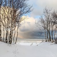 зима :: Елена Кордумова