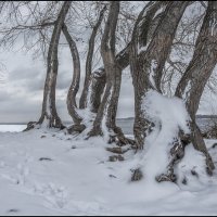 Вверх :: Александр Тарноградский