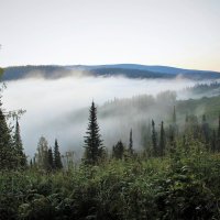 Ползающий туман :: Сергей Чиняев 