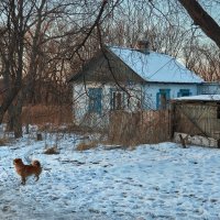 Деревенским вечерком ... :: Евгений Хвальчев