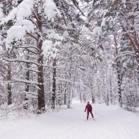 Одинокий лыжник :: Наталия Григорьева