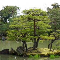 Сад храма Кинкакудзи (Золотой павильон),Киото, Япония :: Иван Литвинов