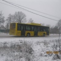 Автобус :: Maikl Smit