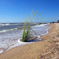 азовское море :: ванюшка 