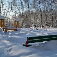 Много снега на дворе.... :: Larisa Simonenkova