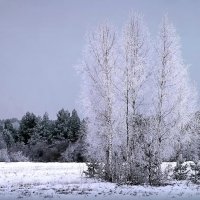 Начало зимы :: Varvara 