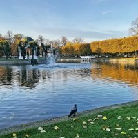 Осень в парке Кадриорг :: veera v