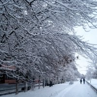 Это было снежной зимой :: Елена Семигина
