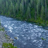Бурная река Генрих Форк (Henrys Fork), штат Айдахо :: Юрий Поляков