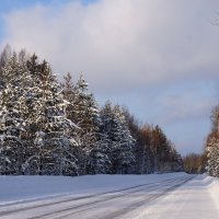 По дороге зимней скучной... :: Галина Кан