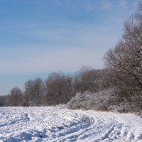 По белому снегу :: Игорь Сикорский