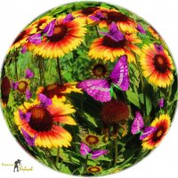 Сфера из цветов и бабочек. :: Anatol L