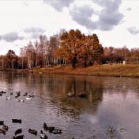 Хмурая осень :: Вячеслав Маслов