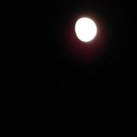 луна с альдебараном :: Alisa Koteva 