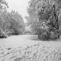 Падал прошлогодний мокрый снег :: Alexander Andronik