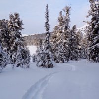 Там на не ведомых дорожках,следы невидимых людей ) ) :: Любовь Иванова