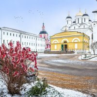 Митрофаниевская церковь и Собор Рождества Богородицы :: Юлия Батурина