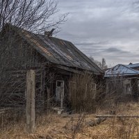 Заброшенные деревни Николополья :: Сергей Цветков