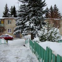 зима в нашей деревне... :: Галина Флора