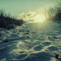 Мороз и солнце :: Сергей Форос