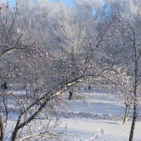 *** :: Горкун Ольга Николаевна 