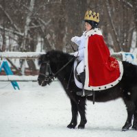 Новогодний турнир :: Елена Логачева