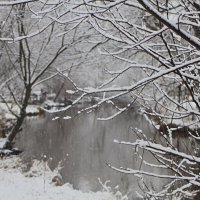 Демисезонная зима Снято 11 января :: олег свирский 