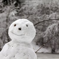 Первый снеговик :: Александр 
