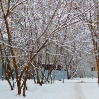 Снежный денёк :: Валентина Пирогова