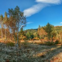 В Карпатах. :: Юрий Гординский