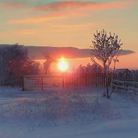 Январское утро :: Геннадий Ячменев