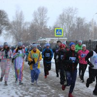 Рождественский полу марафон :: раиса Орловская