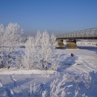 У зимнего моста :: Наталия Григорьева