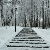 Парк после снегопада :: Милешкин Владимир Алексеевич 