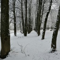 Городской парк после снегопада :: Милешкин Владимир Алексеевич 